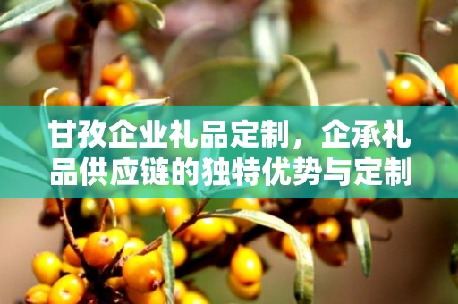 甘孜企业礼品定制，企承礼品供应链的独特优势与定制之旅